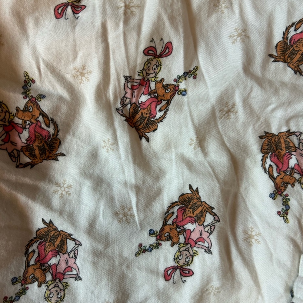Aerie Grinch Cindy Lou flannel pajamas size medium Christmas holiday - Picture 8 of 8